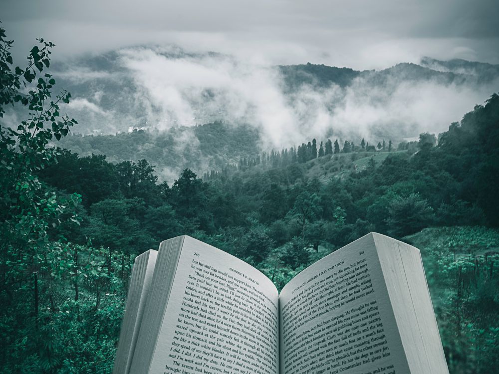 A hand holding an open book amongst a beautiful, green, misty forest and mountains