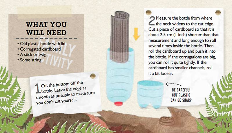 Making a lacewing hotel, pt1 - Illustrations by Tonwen Jones