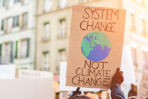 System change not climate change placard
