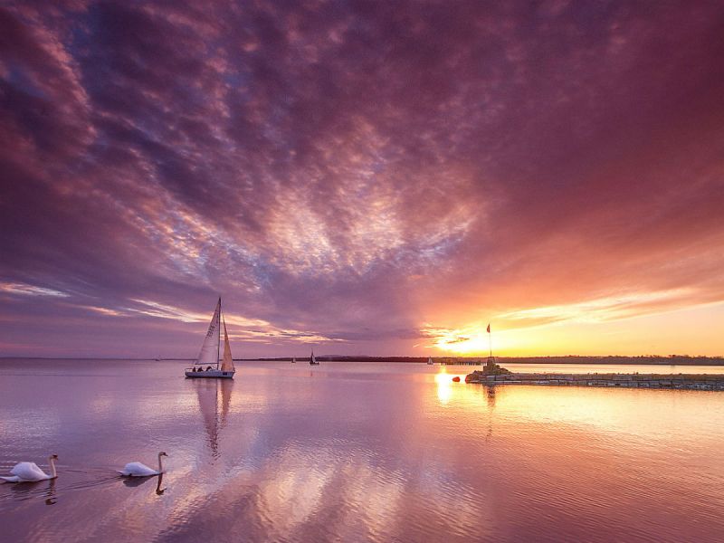 A yacht sails on Lough Neagh with 2 swans in the foreground, set against a dramatic purple skyline and incredible sunset.