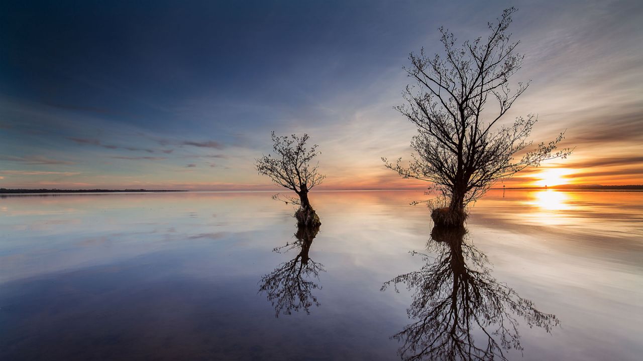 Reflections of the sky and trees in the water of Lough Neagh