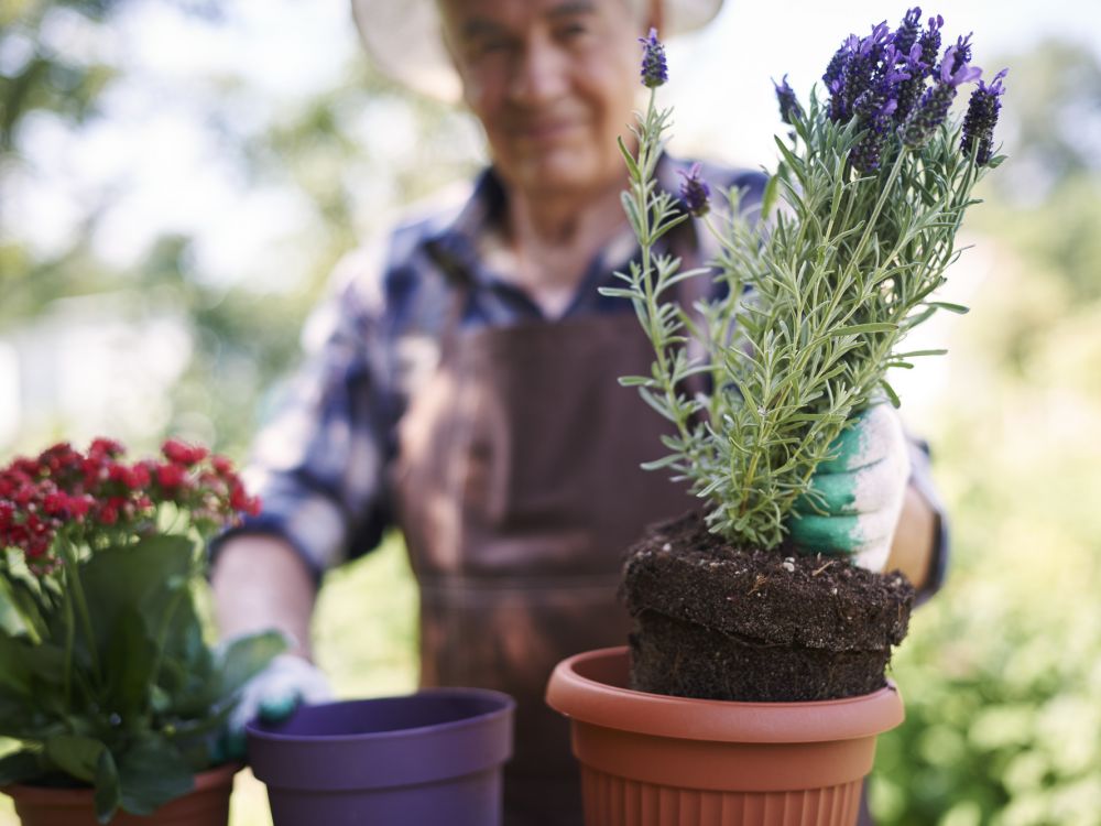 Man holding potted plants