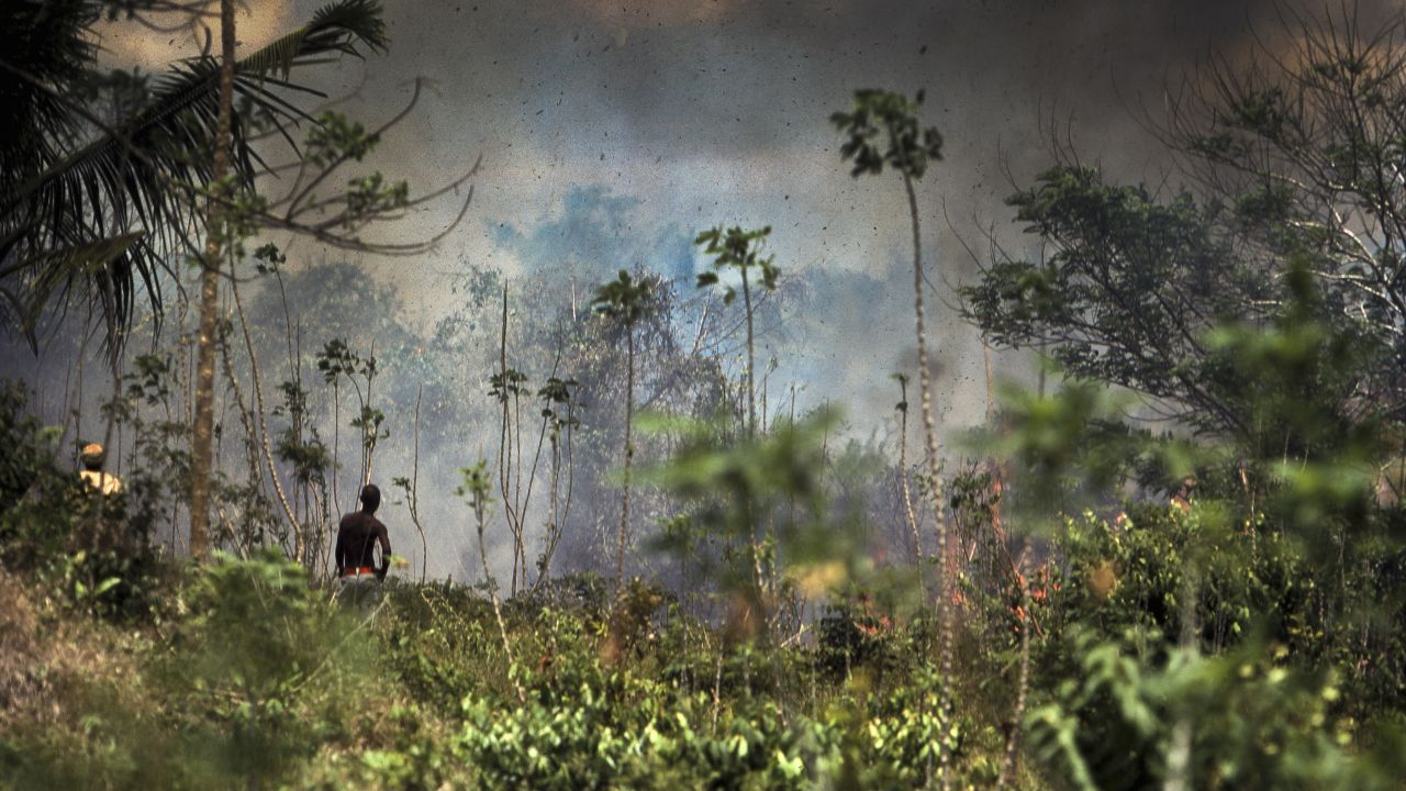 A man stands watching the jungle burning, the sky filled with smoke