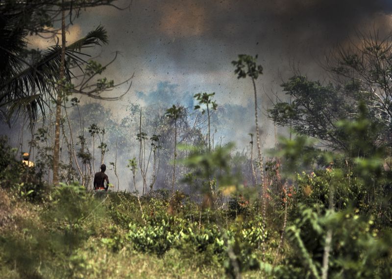 A man stands watching the jungle burning, the sky filled with smoke