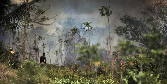 A man stands watching the jungle burning, the sky filled with smoke