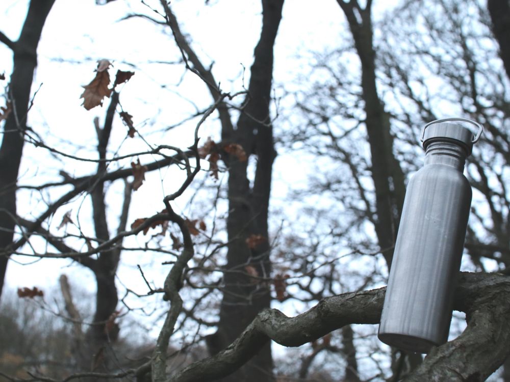 photo of metal water bottle hanging in tree