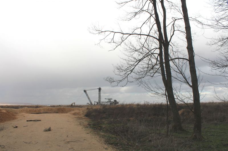 The Hambach Forest has already been cleared to make way for the Hambach surface mine