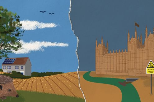 An illustrated graphic contrasting two scenes, with a tear down the middle. One side shows idyllic farmland with a hedgehog, and a house with solar panels. The other side shows the Houses of Parliament by a sewage-ridden river and a sign saying "Warning: Environmental hazard"