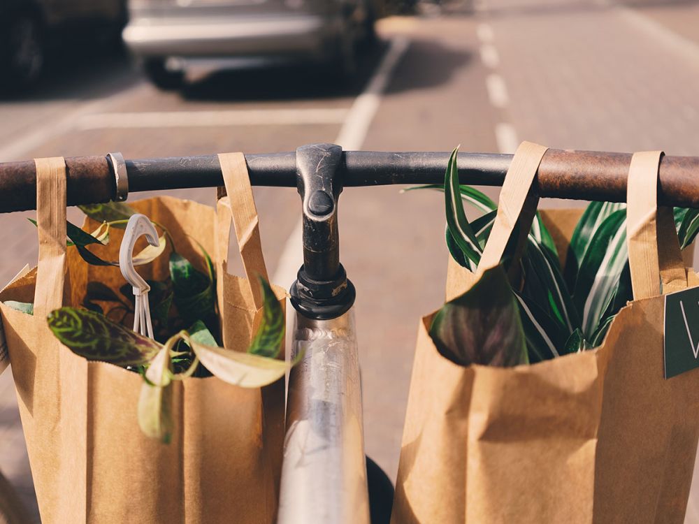 a cyclist uses two reusable paper bags instead of a plastic bag for shopping