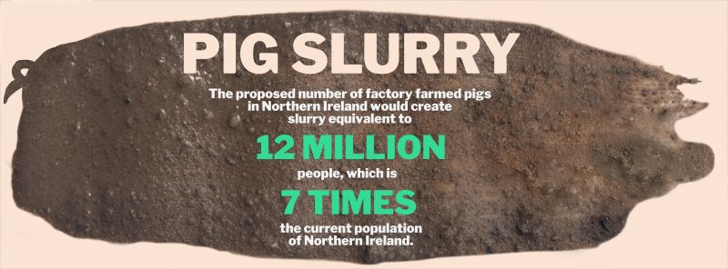 Anti-pig farm poster stating pig slurry equivalent to 12 million people would result - 7 times Northern Ireland population.