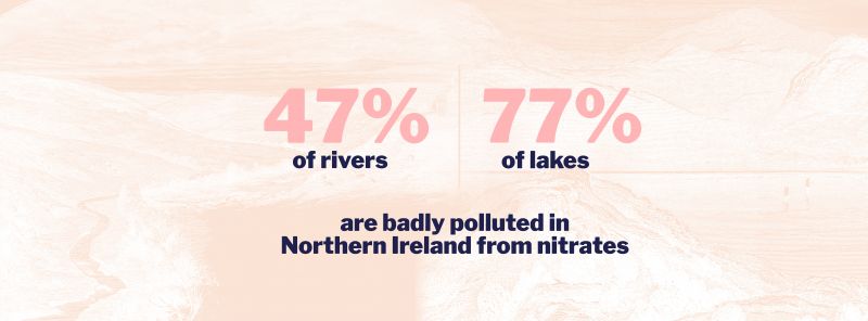 Poster showing 47% of rivers and 77% of lakes in Northern Ireland are badly polluted by nitrates