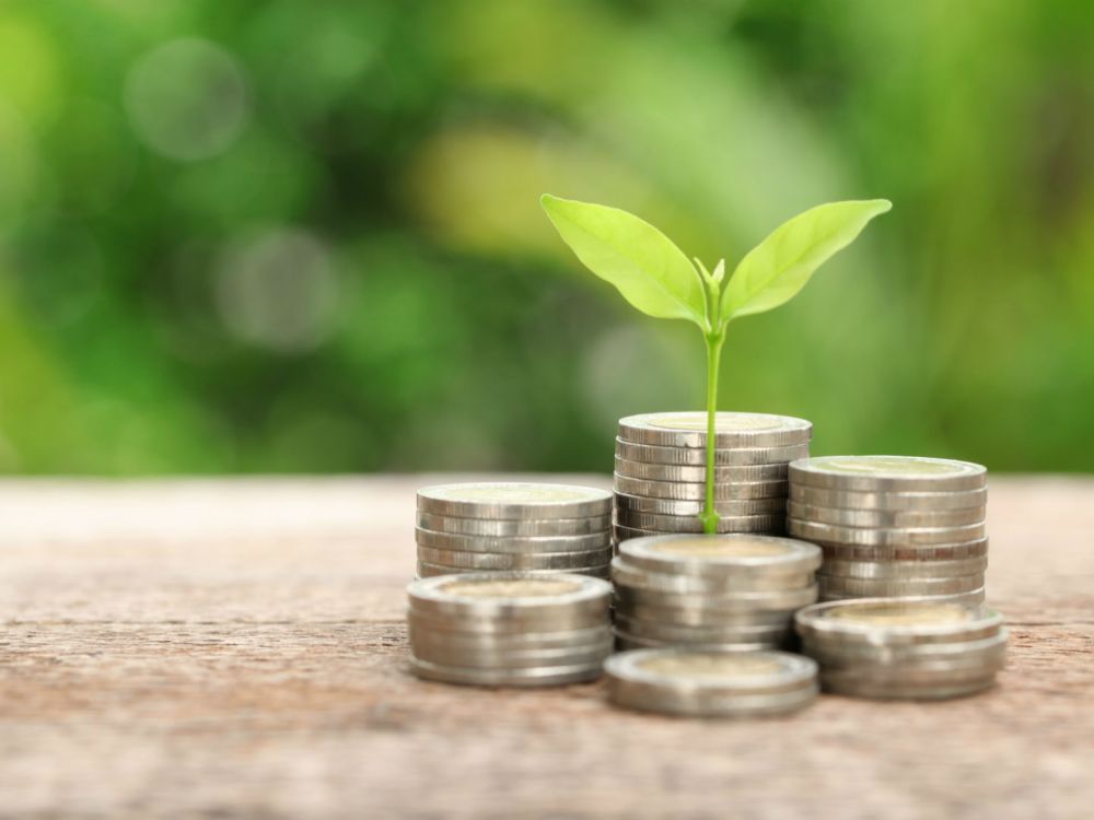Plant coming out of money