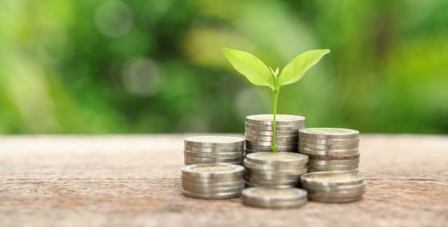 Plant coming out of money
