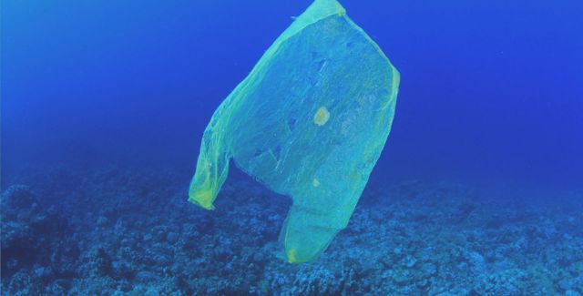 A plastic bag in the ocean
