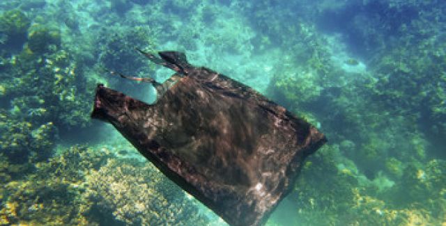Order your plastic-free future materials