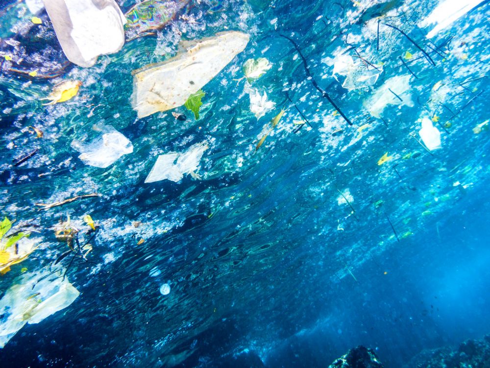 Underwater image of plastic pollution in the ocean