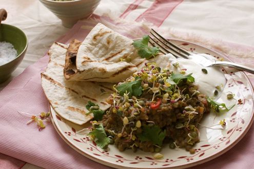 Rhubarb vegetarian curry with Indian flatbread