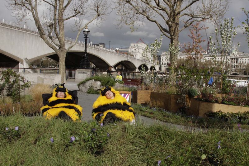 Friends of the Earth bee meadow, South Bank. Two people in bee costumes in deck chairs.