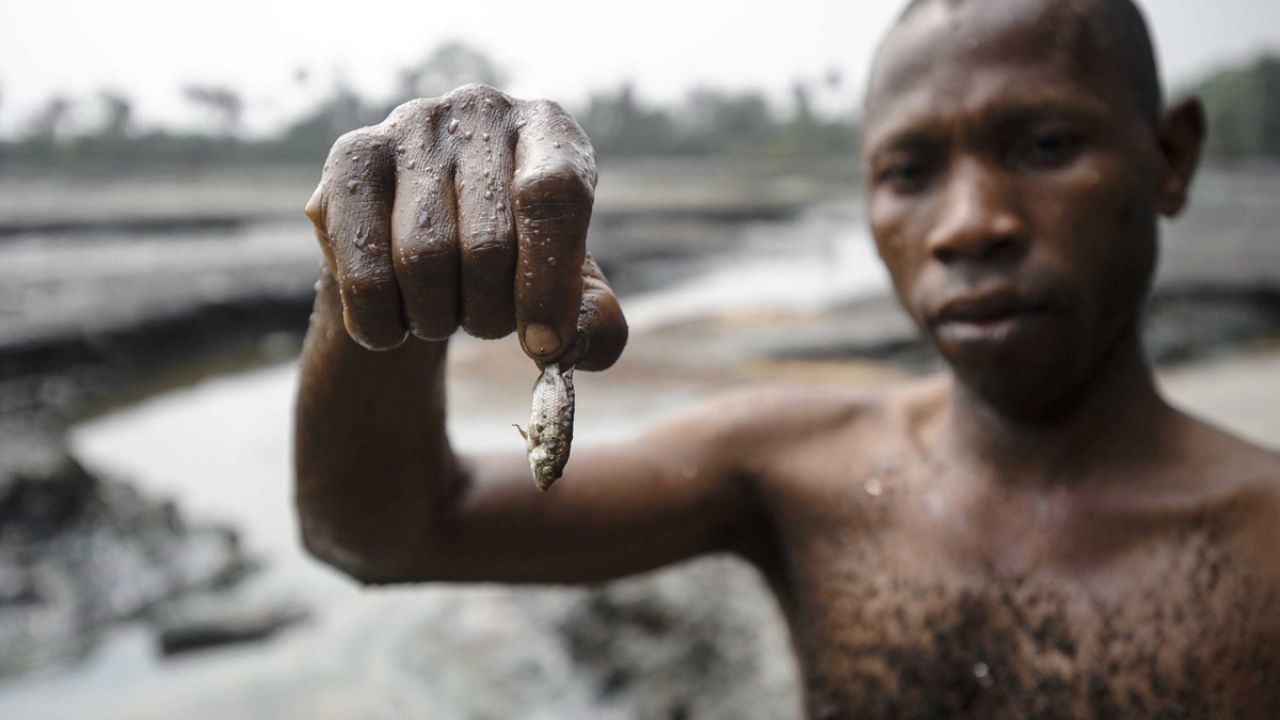 A man holding up a tiny, dead fish - less than the size of a finger