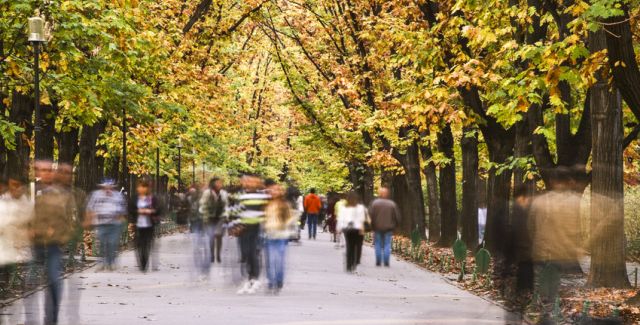 photo of pedestrians and tree-lined path