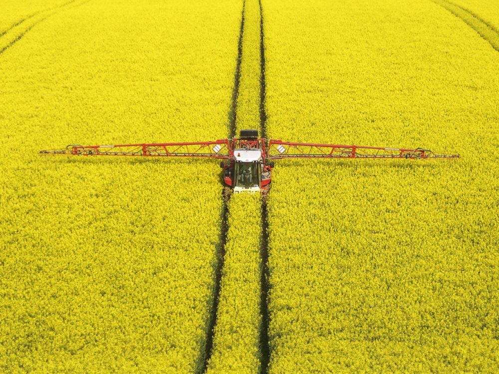 photo of oilseed rape field being sprayed