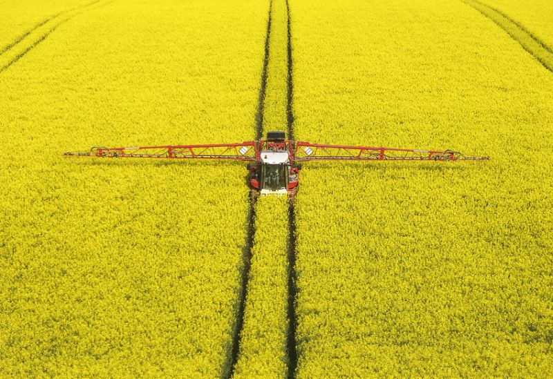photo of oilseed rape field being sprayed
