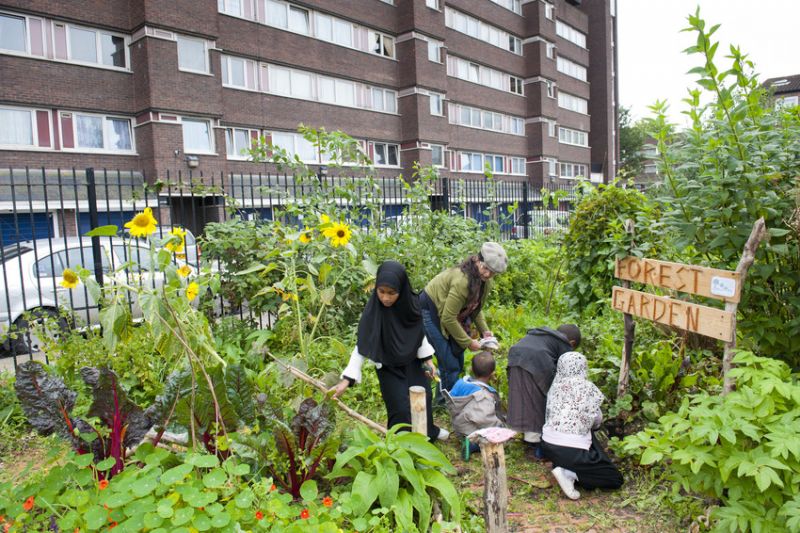 photo of urban gardeners