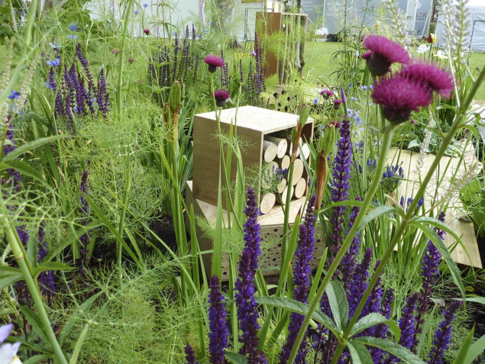 A bee-friendly garden full of greenery, purple flowers and bee hotels made from logs.