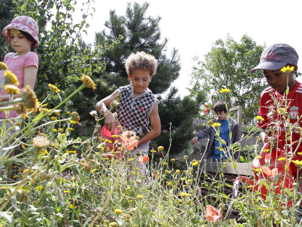 A group of children watering the plants