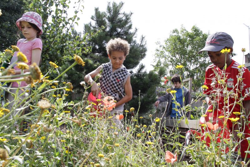 4 children in countryside among lots of yellow flowers