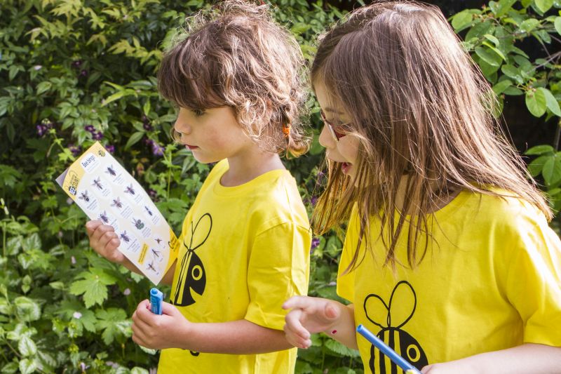 2 small girls by greenery using chart to identify bees for Great British Bee Count