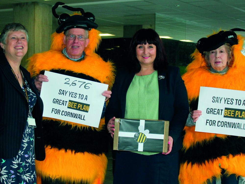 Cornwall council receiving petition to ban bee-harming neonicotinoid pesticides