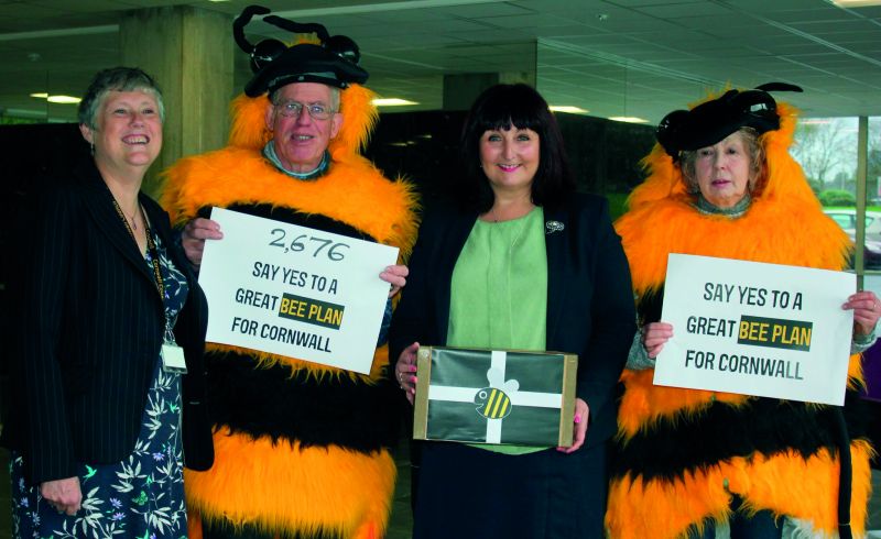 Cornwall council receiving petition to ban bee-harming neonicotinoid pesticides