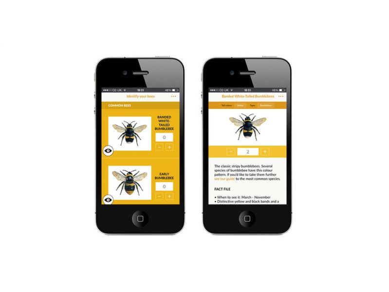 The Great British Bee Count app
