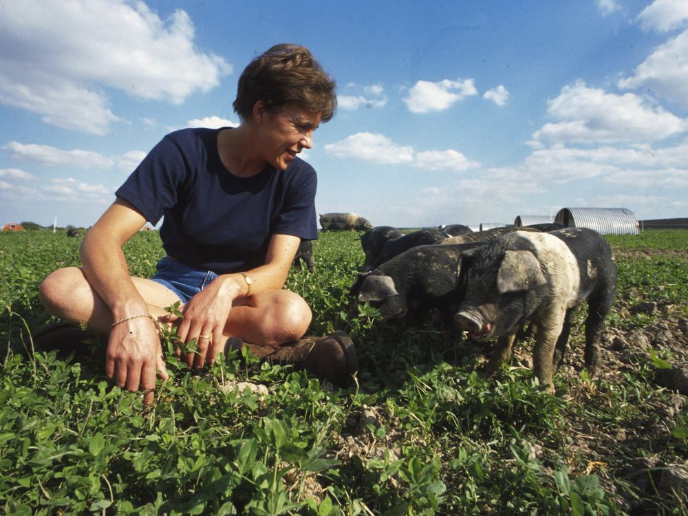 A farmer in a field of crops and piglets