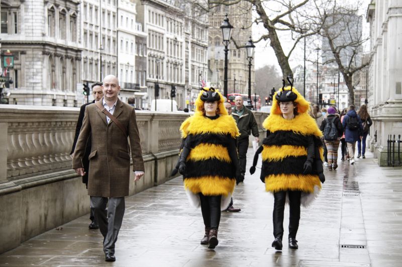 2 Bee Cause protestors in bee costumes walking down Whitehall outside Downing Street