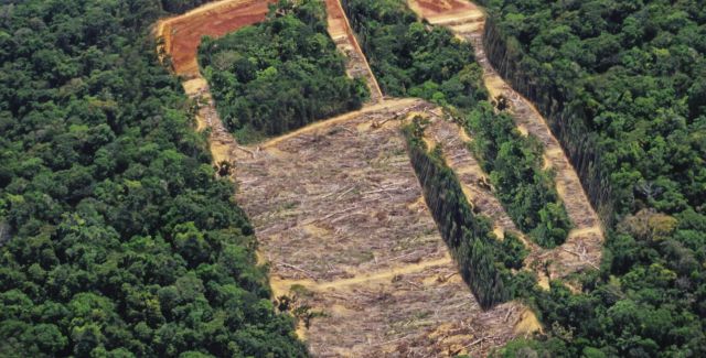 Biofuels deforestation