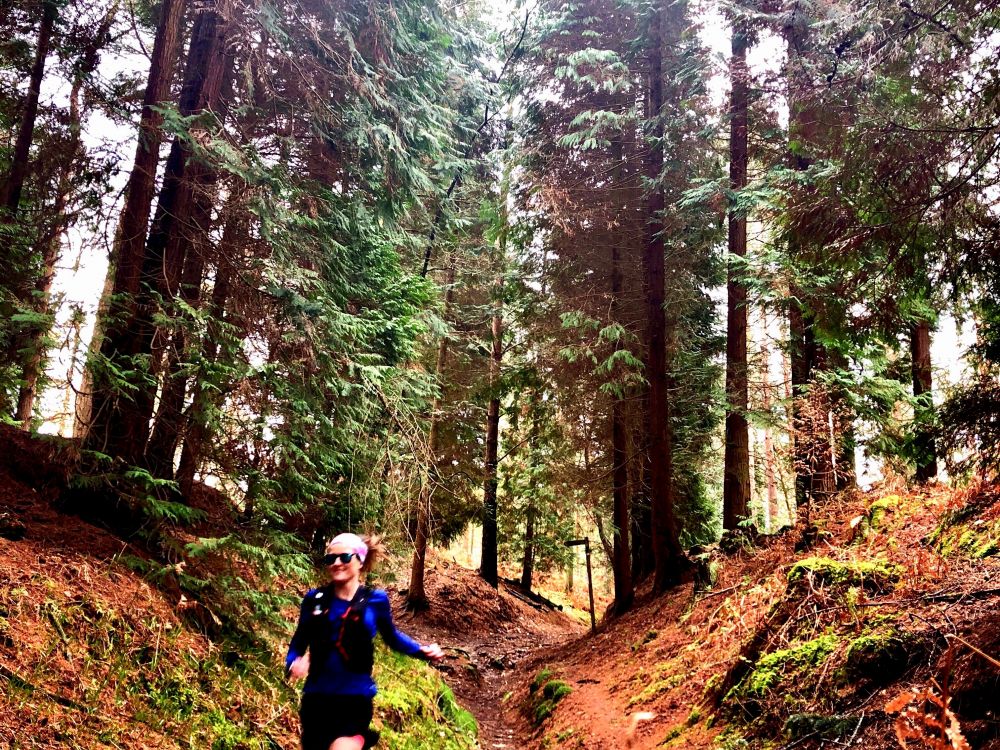 A runner on the Serpent Trail