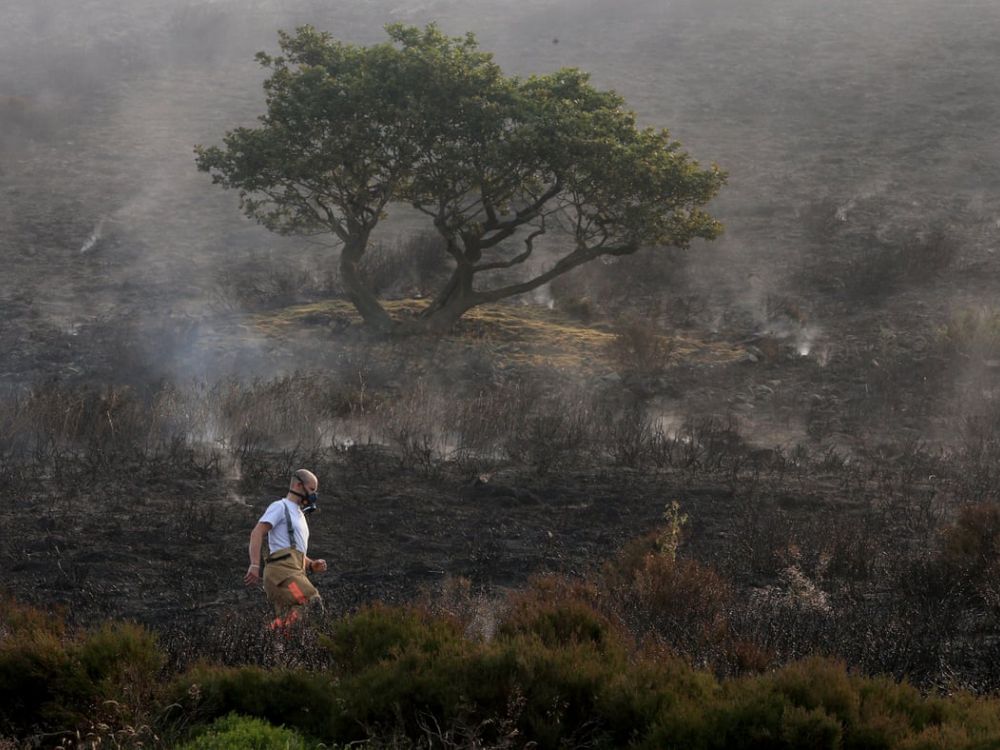 A rescue worker walks in front of marooned tree on a smouldering Saddleworth Moor after wildfires