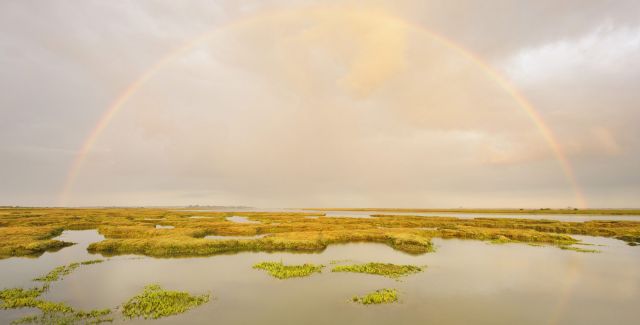 Saltmarsh, Abbotts-Hall-Farm, Essex. Water marshland and large rainbow in cloudy sky.