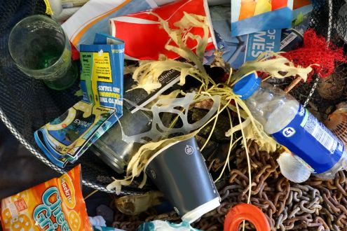 Plastic rubbish in a seaside bin