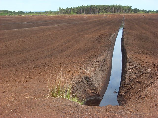 Photo of peat workings, Solway Moss, Kirkandrew