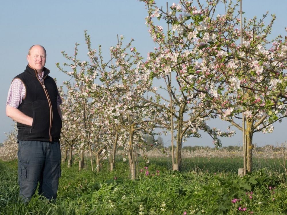 Stephen Briggs, farmer