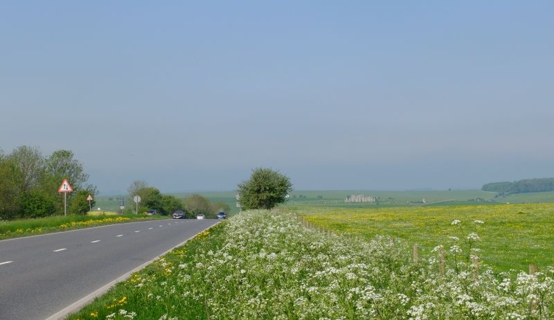A303 field and Stonehenge in far distance.