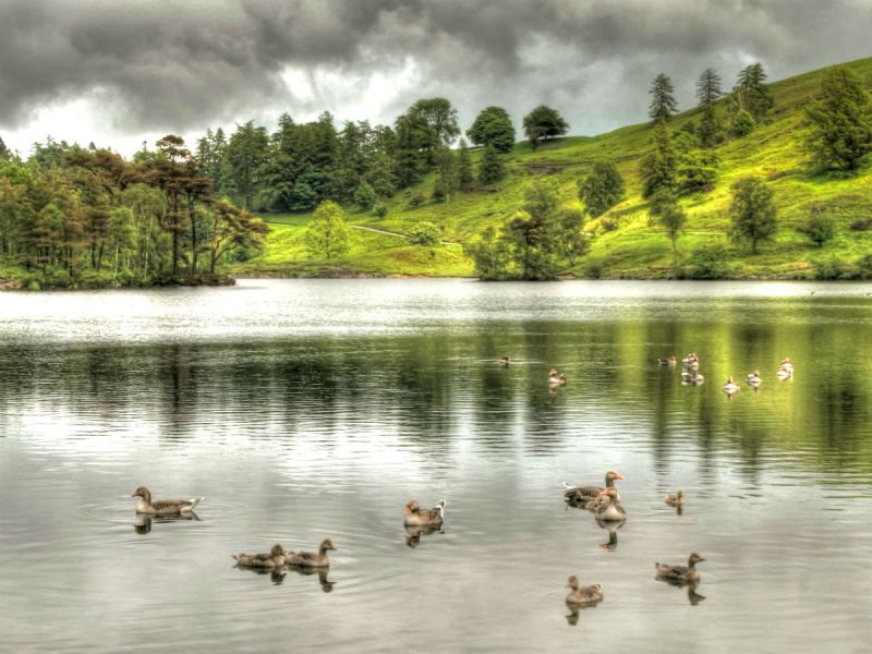 A rainy overcast day at Tarn Hows in the heart of the Lake District.