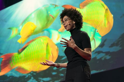 A woman is speaking passionately, and in the background is digital images of beautiful, tropical fish