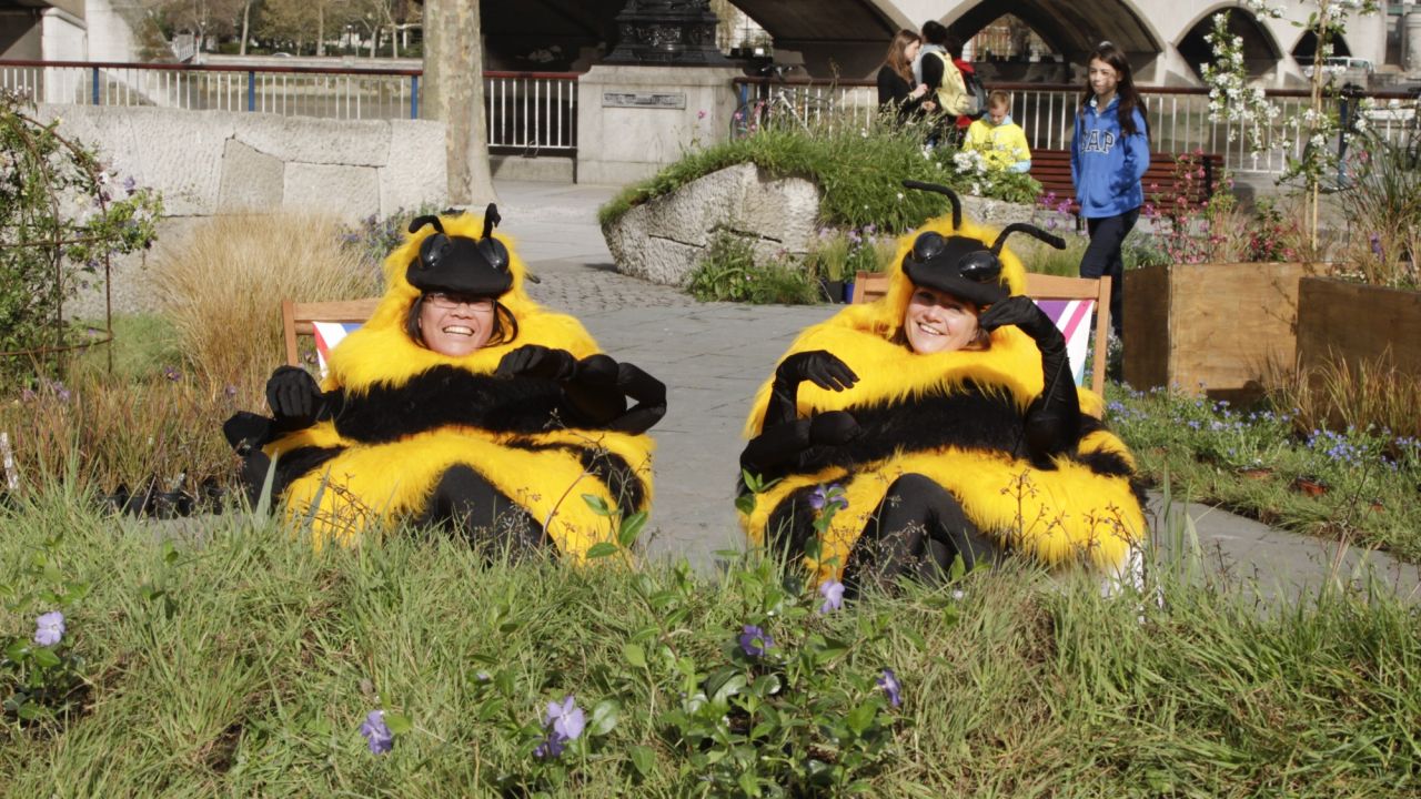 The Bee Cause launch south bank 2012