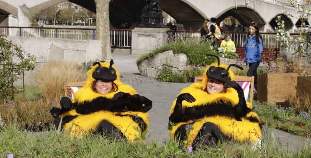 Campaigners in bee outfits for the Bee Cause launch South Bank 2012