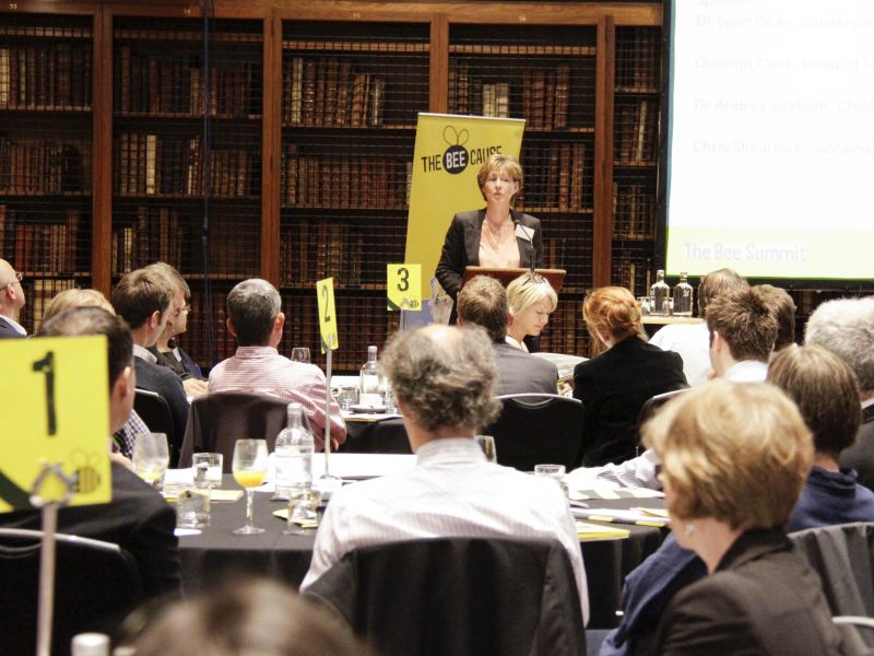 The Bee Summit 2013
