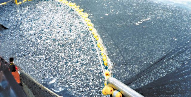 A trawler overfishing cod